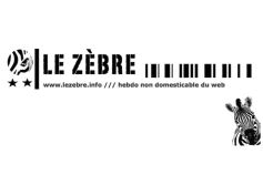csm_b-zebre_adeeb582c7
